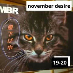 november desire スノーボード 152cm 猫デザイン november desire スノーボード 152cm 猫デザイン - メルカリ