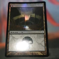 未使用品 MTG 基本土地 沼 foil Chippy 日本語 - メルカリ