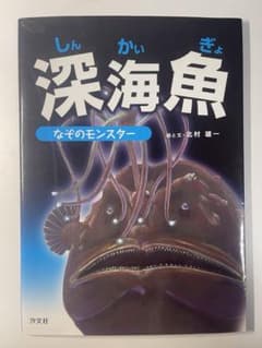 深海魚 図鑑 なぞのモンスターのサムネイル