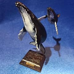 ネイチャーテクニカラー　小笠原　ザトウクジラのサムネイル