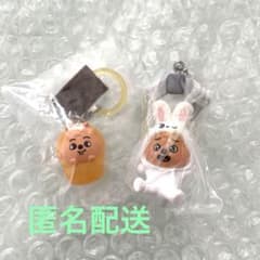 SKZOO ガチャ めじるしソロキャンプ つまんでつなげてHAN QUOKKAのサムネイル