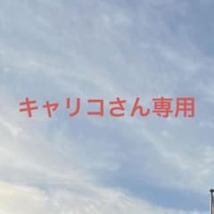 《キャリコさん専用》のサムネイル