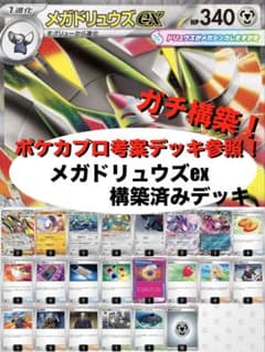 ガチ構築】メガドリュウズex構築済みデッキ - メルカリ