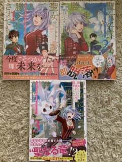 聖女になるので二度目の人生は勝手にさせてもらいますのサムネイル