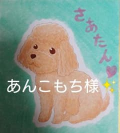 あんこもち様ご確認ページ✨シャ乱Q CDセット まとめ売りのサムネイル