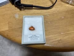 虫入り琥珀のサムネイル