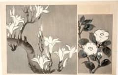 琳派図案版画（色摺木版画)、作者不詳、明治後期～昭和初期出版 琳派図案版画（色摺版画)作者不詳、明治後期～昭和初期出版 - メルカリ