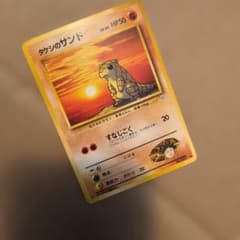 タケシのサンドLV.20 ○ ジム拡張第1弾 リーダーズスタジアム - メルカリ