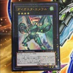 ダイガスタエメラルのサムネイル