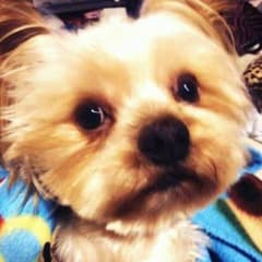 ちぃさん専用ページのサムネイル