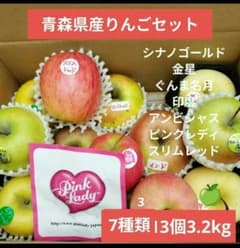 青森県産りんごセット7種類 3.2kg 13個家庭用大中小ミックス - メルカリ