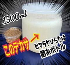 特大菌糸瓶1500ml【5本セット】クワガタ幼虫が大きくなる！オオクワ