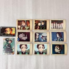 Demon Slayer: Kimetsu no Yaiba Tanjiro Card