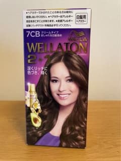 WELLATON 2＋1 ヘアカラーのサムネイル
