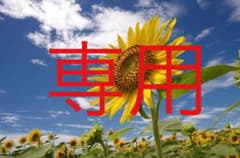 【ふっちゃさま専用☆】のサムネイル