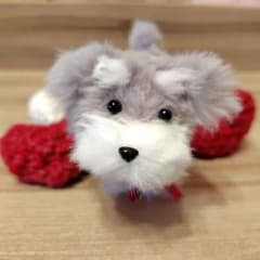 ミニチュアシュナウザー　ソルト＆ペッパー　グレー　犬のぬいぐるみ　モールドールのサムネイル