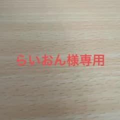 らいおん様専用‼️のサムネイル