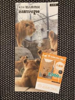 旭山動物園チケット　大人1枚のサムネイル