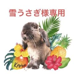 雪うさぎ様専用　乾燥パパイヤ&マンゴーのサムネイル