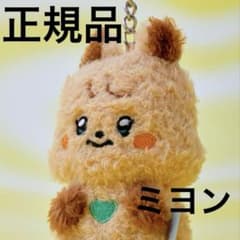 G)I-DLE minini ぬいぐるみ キーリング ミヨン ヨニニ 正規品 - メルカリ