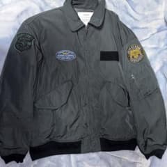 BEAMS MA-1のサムネイル