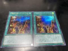 遊戯王　セリオンズリング　シクのサムネイル