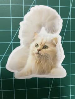 고양이 방수 스티커 귀여운 화려한 흰 고양이 고양이