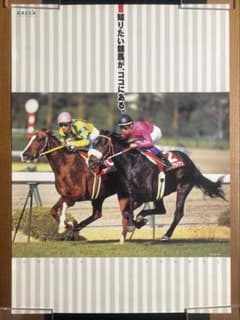 希少品】ナリタブライアン マヤノトップガン B2ポスター 競馬 JRA