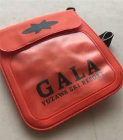 最終価格SALE‼︎ 湯沢スキーリゾートGALAリフト券入れのサムネイル