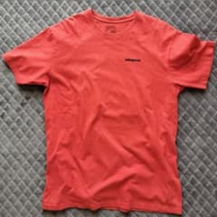 made in Mexico　patagonia メンズTシャツ Lサイズのサムネイル
