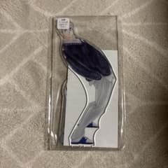 宮治 アクリルスタンド B3サイズのサムネイル