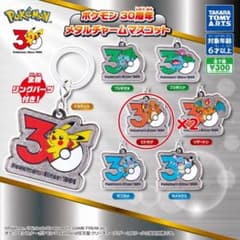 ポケモン 30周年 メタルチャームマスコット ヒトカゲ2個セット - メルカリ