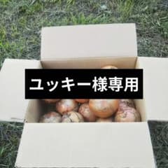 ユッキー様専用のサムネイル