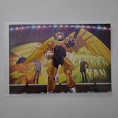 타이바니 엽서 골든 라이언