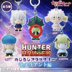 HUNTER × HUNTER 메지루시 액세서리 멜엠