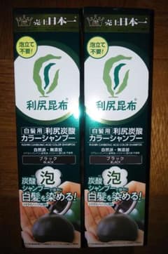【2本セット】自然派clubサスティ 白髪用 利尻炭酸カラーシャンプー ブラックのサムネイル