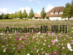Amoamo様 専用出品のサムネイル