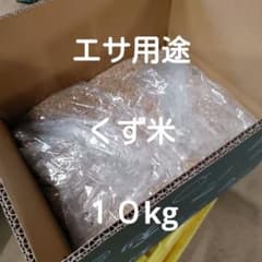 エサ用途　くず米　１０kのサムネイル
