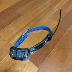 GARMIN ASTRO DC50 GPSトラッキング犬用首輪(中古品) GARMIN ASTRO DC50 GPSトラッキング犬用首輪(中古品) - メルカリ
