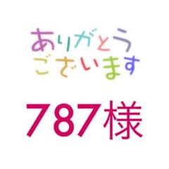 787専用のサムネイル