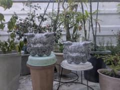 希少！ 沖縄 墓守りのシーサー 石像 重厚 狛犬 魔除け 希少！ 沖縄 墓守りのシーサー 石像 重厚 狛犬 魔除け シーサー