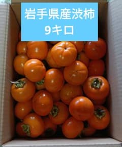 岩手県産渋柿9キロ(箱込)のサムネイル