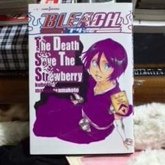 BLEACH  ルキア　小説のサムネイル