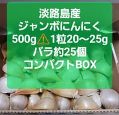 淡路島産ジャンボにんにく⚠️500g　1粒20～25㌘ 25粒　コンパクトBOXのサムネイル