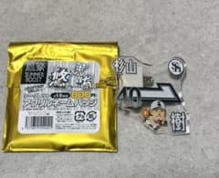 福岡ソフトバンクホークス 杉山一樹 鷹祭 アクリルネームバッジ 40のサムネイル