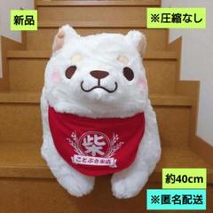 新品　忠犬もちしば　ででーんと超BIGうめ　匿名配送