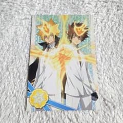 希少 家庭教師ヒットマンREBORN リボアニポストカード 沢田綱吉 プリーモ 家庭教師REBORN 沢田綱吉 リボアニ ポストカード ホワイトデー