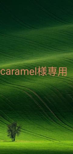 珪藻土バスマットのサムネイル