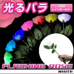 わーおさん専用のサムネイル