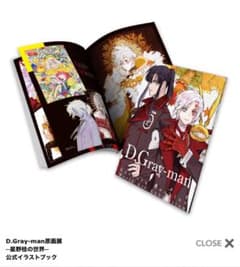 D.grayman 原画展　公式イラスト集　星野桂のサムネイル